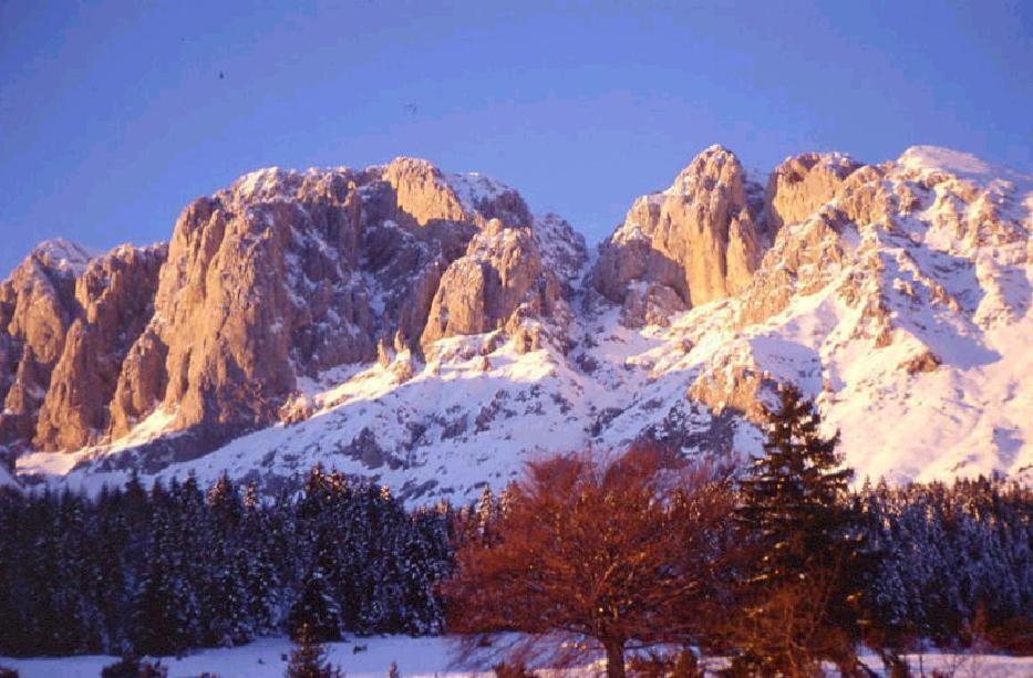 Hotel Prealpi Castione della Presolana Εξωτερικό φωτογραφία